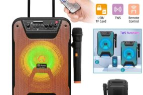 Bluetooth zvucnik TTD-8257
