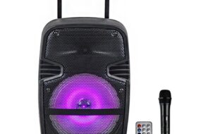 "Bluetooth zvucnik NDR-A15 15"" 40W"