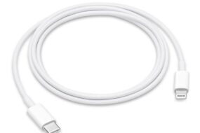 Apple data kabl Type C na Lightning 1m BULK (MM0A3ZM/A)