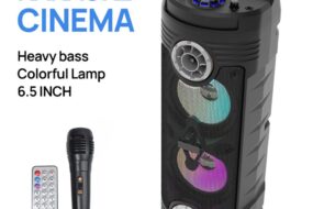 Bluetooth zvucnik ZQS6208